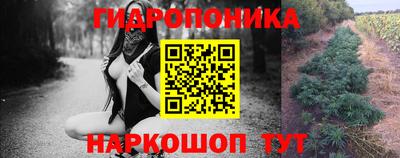 крисы Комсомольск-на-Амуре