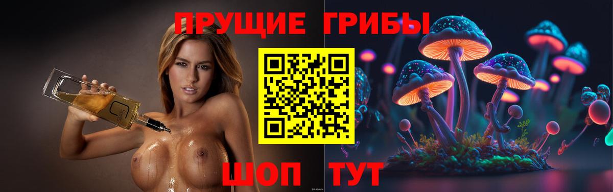 Котельники  Вход с VPN  Меф МЯУ МЯУ кристаллы  A PVP СК   Каннабис  Экстази  ГАШ  Кокаин 